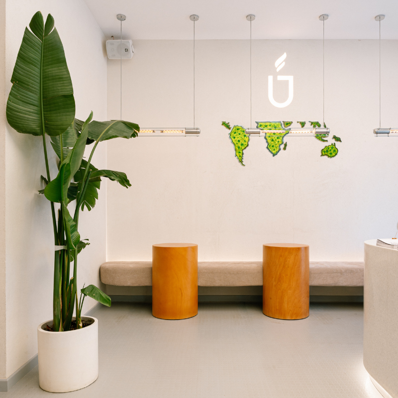 True Fine Coffee – Palas – True Fine Coffee Iași